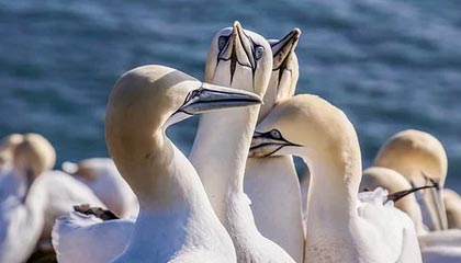 上海秋老虎明天下线,秋台风能否带来降温?