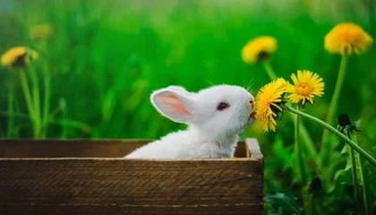 第1个说阅兵坏话的国家出现,果然是它,解放军被逼出动,不惯着