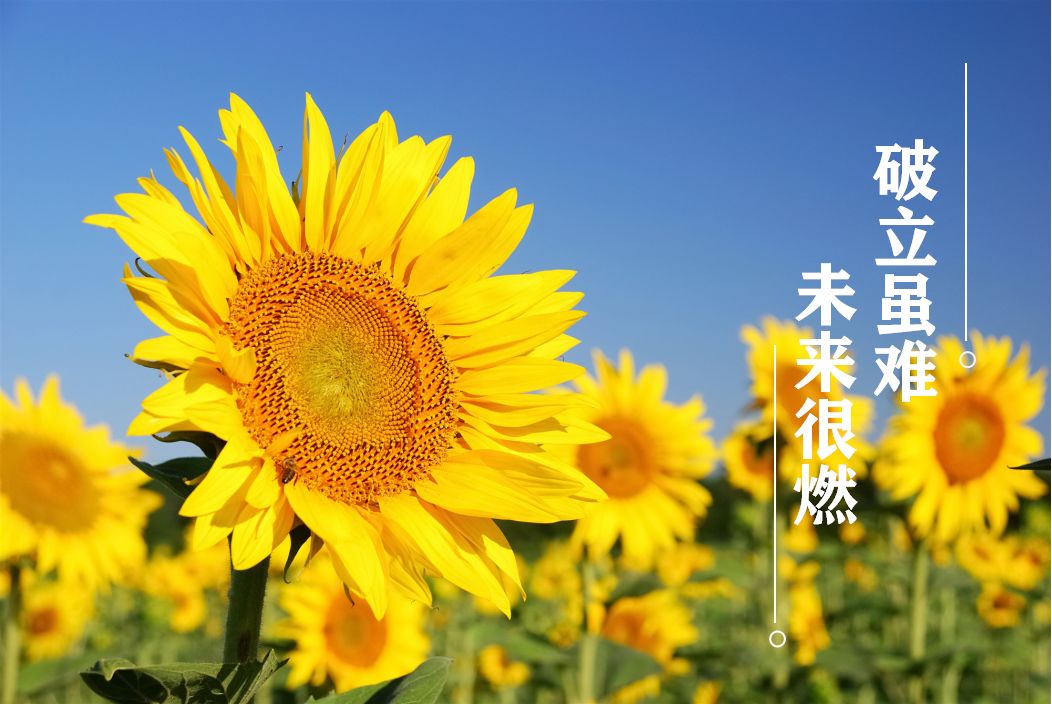 尊信理财(尊信app是正规的吗)