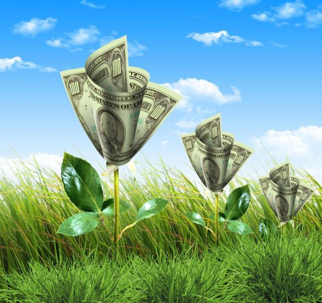 石头理财(石头理财官网公告)